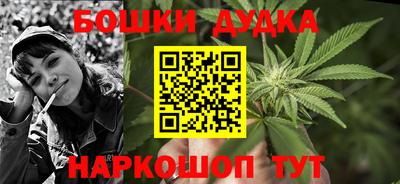 крисы Гатчина