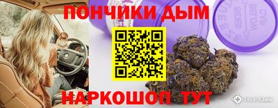 spice Гагарин