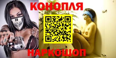 крисы Гатчина