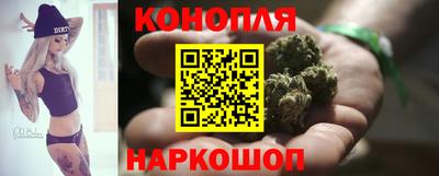 крисы Гатчина