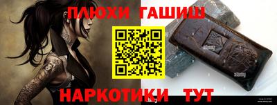 крисы Гатчина