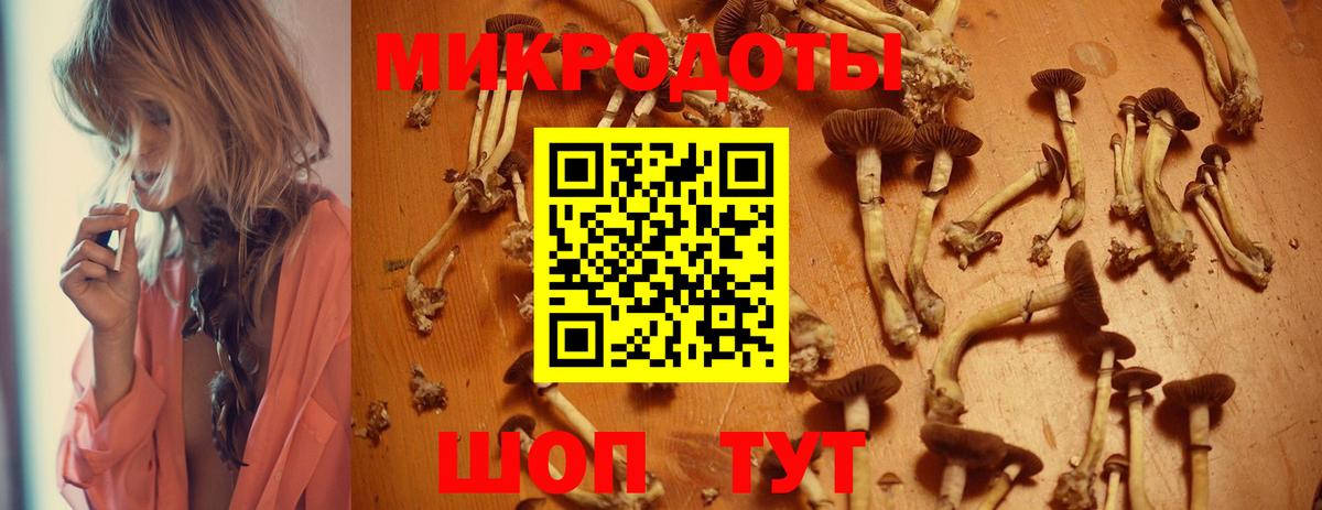 Псилоцибиновые грибы прущие грибы  Галлюциногенные грибы GOLDEN TEACHER  Камень-на-Оби 